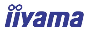 IIYAMA LOGO