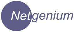 NETGENIUM LOGO